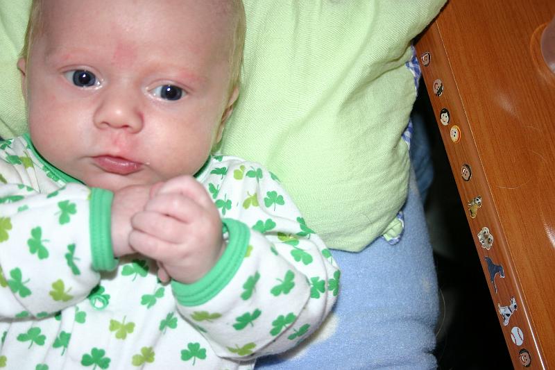 Picture 4132.jpg